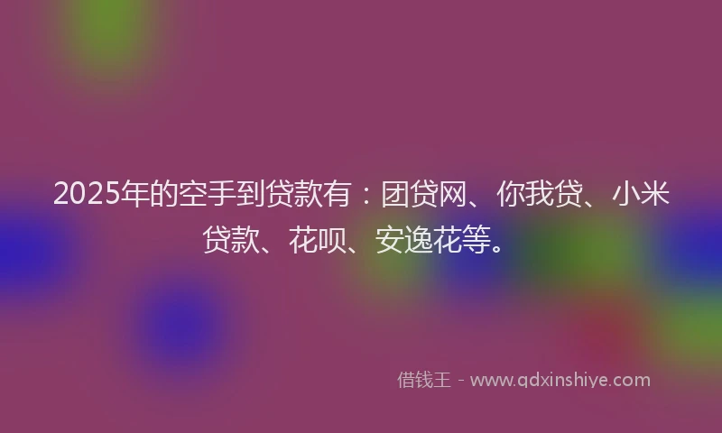 2025年的空手到贷款有：团贷网、你我贷、小米贷款、花呗、安逸花等。