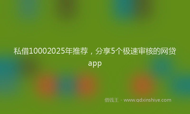 私借10002025年推荐，分享5个极速审核的网贷app
