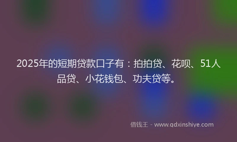 2025年的短期贷款口子有：拍拍贷、花呗、51人品贷、小花钱包、功夫贷等。