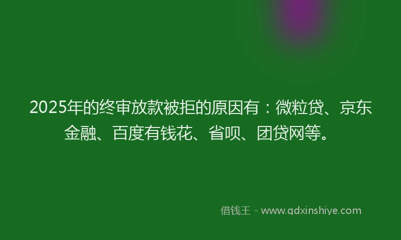 2025年的终审放款被拒的原因有：微粒贷、京东金融、百度有钱花、省呗、团贷网等。