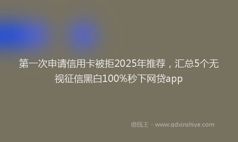 第一次申请信用卡被拒2025年推荐，汇总5个无视征信黑白100%秒下网贷app