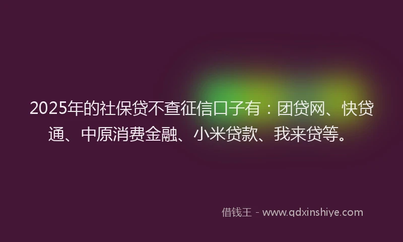 2025年的社保贷不查征信口子有：团贷网、快贷通、中原消费金融、小米贷款、我来贷等。