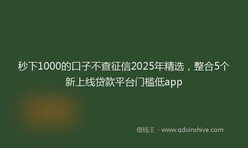 秒下1000的口子不查征信2025年精选，整合5个新上线贷款平台门槛低app