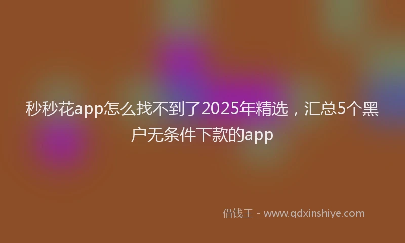 秒秒花app怎么找不到了2025年精选，汇总5个黑户无条件下款的app