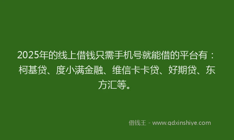 2025年的线上借钱只需手机号就能借的平台有：柯基贷、度小满金融、维信卡卡贷、好期贷、东方汇等。