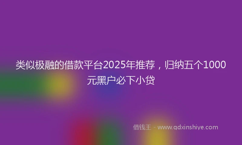 类似极融的借款平台2025年推荐，归纳五个1000元黑户必下小贷