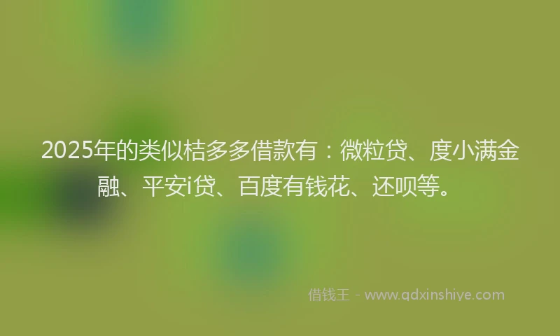 2025年的类似桔多多借款有：微粒贷、度小满金融、平安i贷、百度有钱花、还呗等。