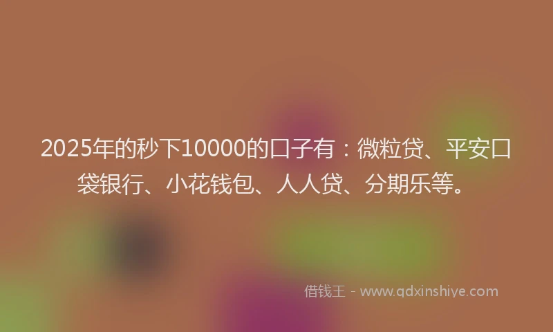 2025年的秒下10000的口子有：微粒贷、平安口袋银行、小花钱包、人人贷、分期乐等。