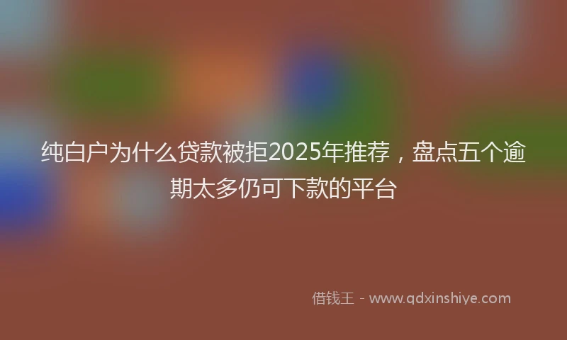 纯白户为什么贷款被拒2025年推荐，盘点五个逾期太多仍可下款的平台
