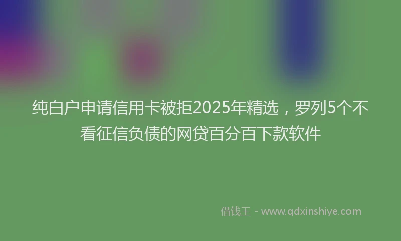 纯白户申请信用卡被拒2025年精选，罗列5个不看征信负债的网贷百分百下款软件