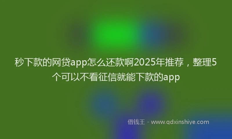 秒下款的网贷app怎么还款啊2025年推荐，整理5个可以不看征信就能下款的app