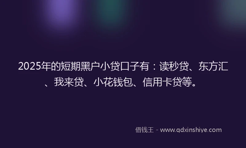 2025年的短期黑户小贷口子有：读秒贷、东方汇、我来贷、小花钱包、信用卡贷等。