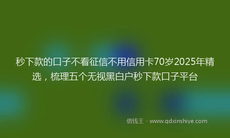 秒下款的口子不看征信不用信用卡70岁2025年精选，梳理五个无视黑白户秒下款口子平台