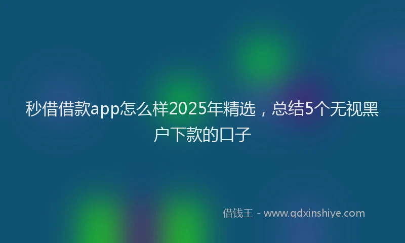 秒借借款app怎么样2025年精选，总结5个无视黑户下款的口子