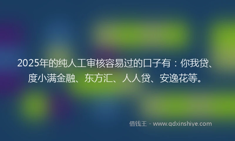 2025年的纯人工审核容易过的口子有:你我贷、度小满金融、东方汇、人人贷、安逸花等。