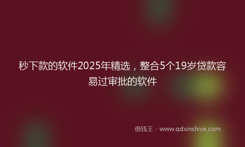 秒下款的软件2025年精选，整合5个19岁贷款容易过审批的软件