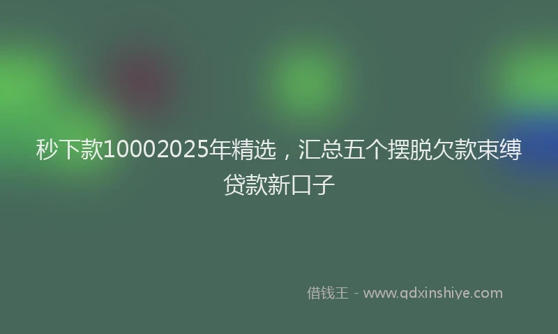 秒下款10002025年精选，汇总五个摆脱欠款束缚贷款新口子