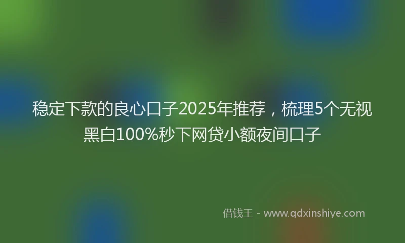 稳定下款的良心口子2025年推荐，梳理5个无视黑白100%秒下网贷小额夜间口子