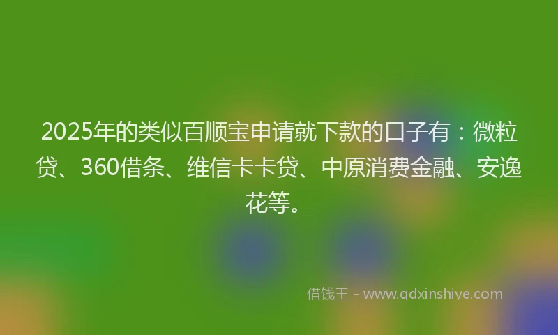 2025年的类似百顺宝申请就下款的口子有：微粒贷、360借条、维信卡卡贷、中原消费金融、安逸花等。