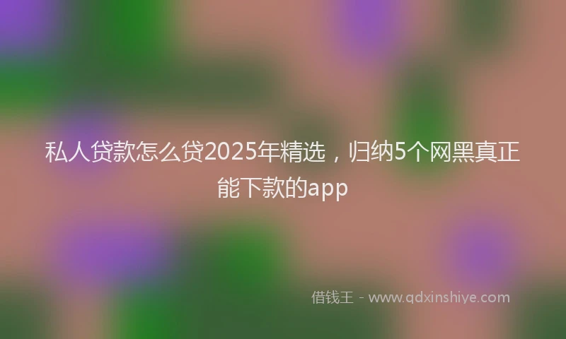 私人贷款怎么贷2025年精选，归纳5个网黑真正能下款的app
