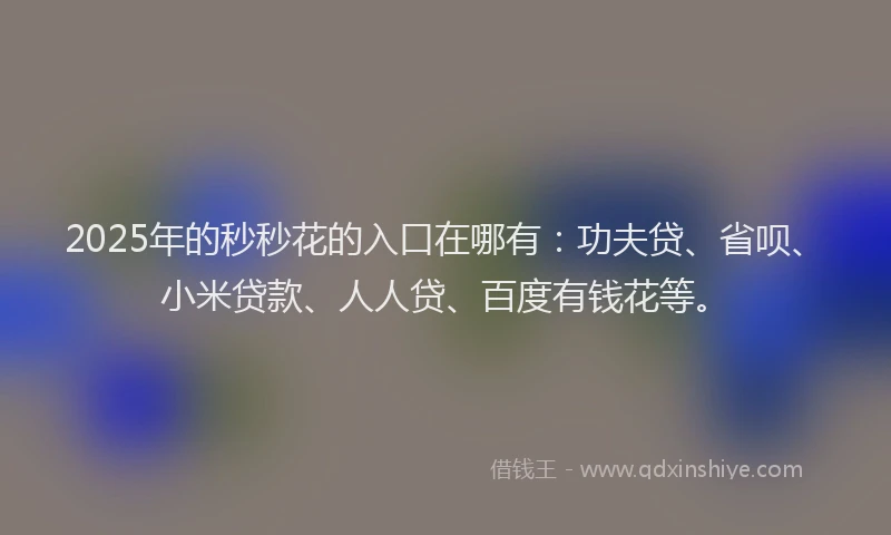2025年的秒秒花的入口在哪有：功夫贷、省呗、小米贷款、人人贷、百度有钱花等。