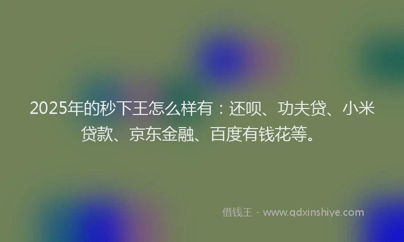 2025年的秒下王怎么样有：还呗、功夫贷、小米贷款、京东金融、百度有钱花等。