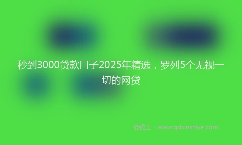 秒到3000贷款口子2025年精选，罗列5个无视一切的网贷