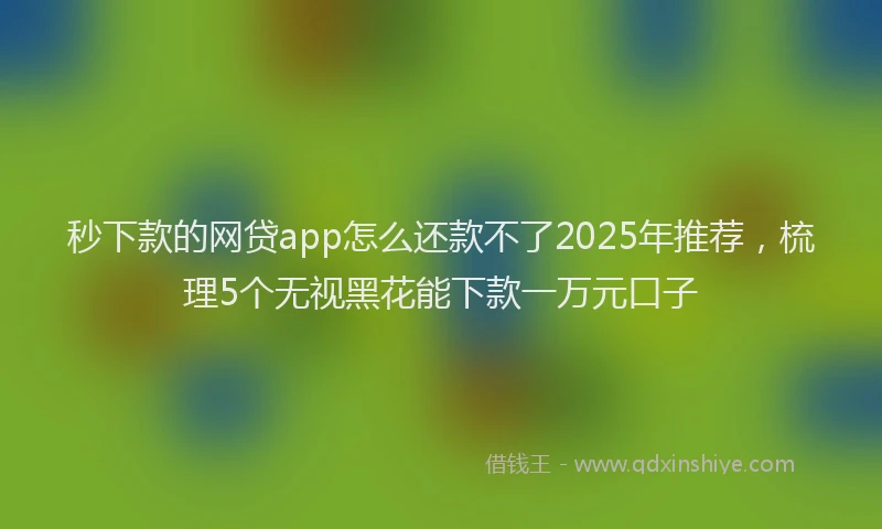 秒下款的网贷app怎么还款不了2025年推荐，梳理5个无视黑花能下款一万元口子