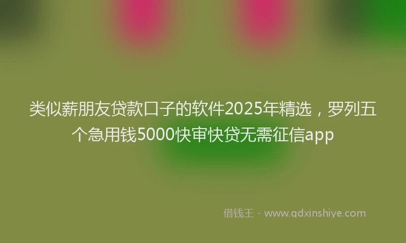 类似薪朋友贷款口子的软件2025年精选，罗列五个急用钱5000快审快贷无需征信app