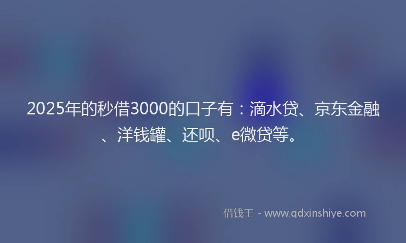 2025年的秒借3000的口子有：滴水贷、京东金融、洋钱罐、还呗、e微贷等。