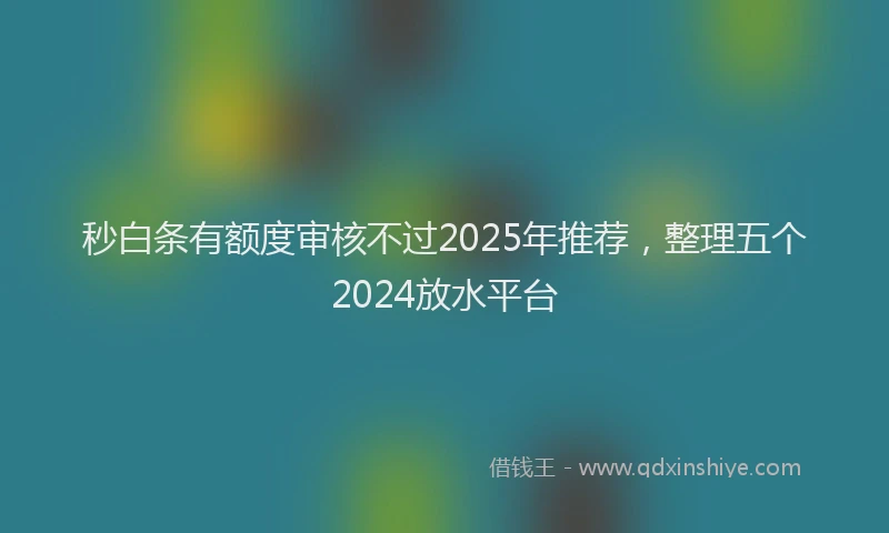 秒白条有额度审核不过2025年推荐，整理五个2024放水平台