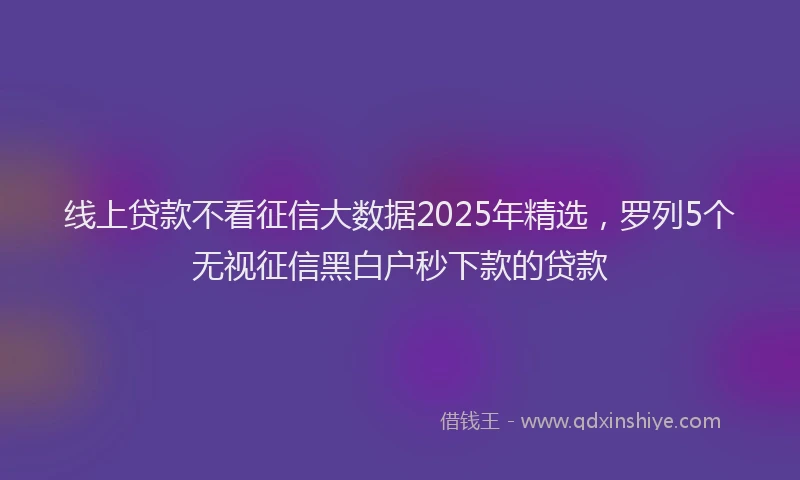 线上贷款不看征信大数据2025年精选，罗列5个无视征信黑白户秒下款的贷款