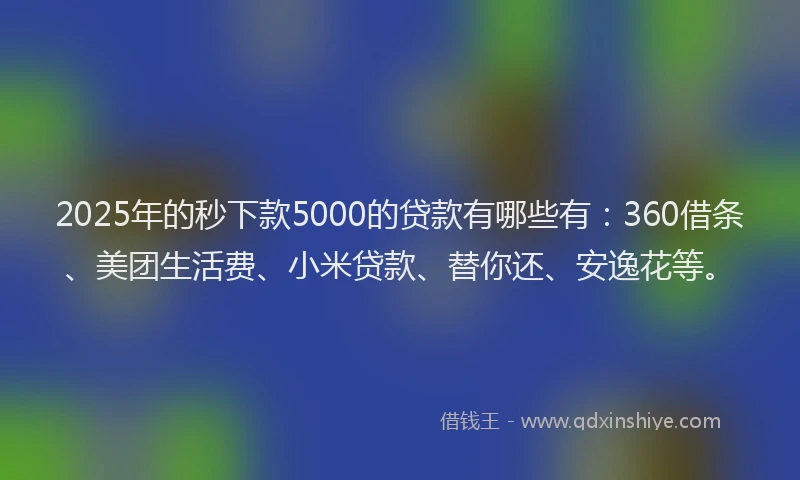 2025年的秒下款5000的贷款有哪些有：360借条、美团生活费、小米贷款、替你还、安逸花等。