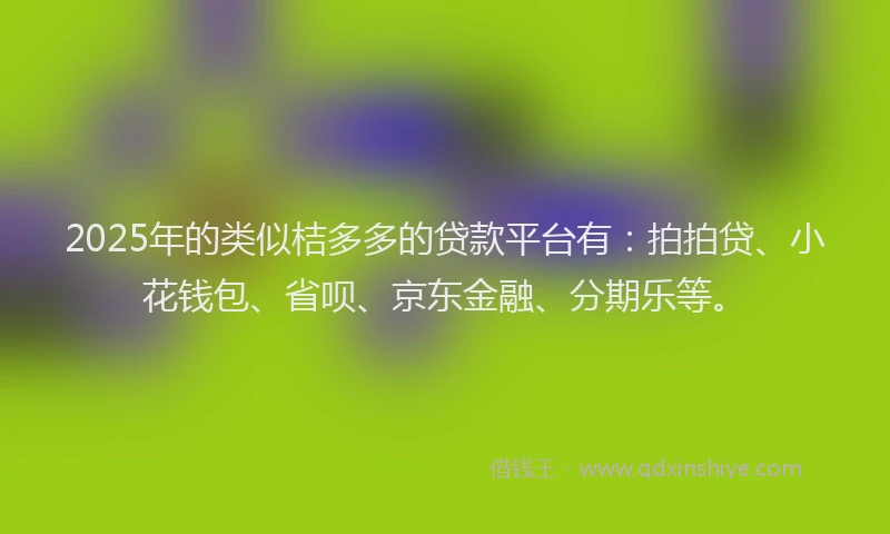 2025年的类似桔多多的贷款平台有：拍拍贷、小花钱包、省呗、京东金融、分期乐等。