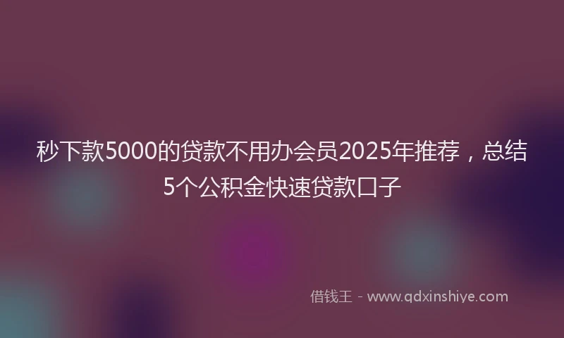 秒下款5000的贷款不用办会员2025年推荐，总结5个公积金快速贷款口子