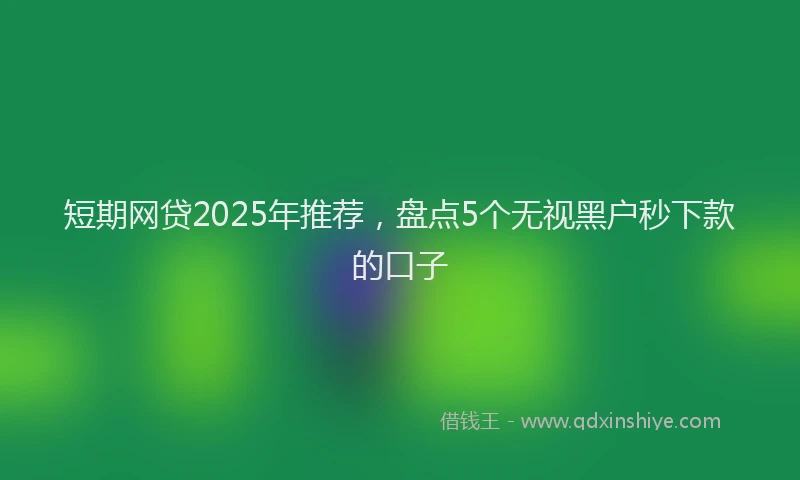 短期网贷2025年推荐，盘点5个无视黑户秒下款的口子
