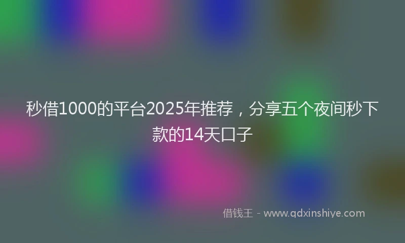 秒借1000的平台2025年推荐，分享五个夜间秒下款的14天口子