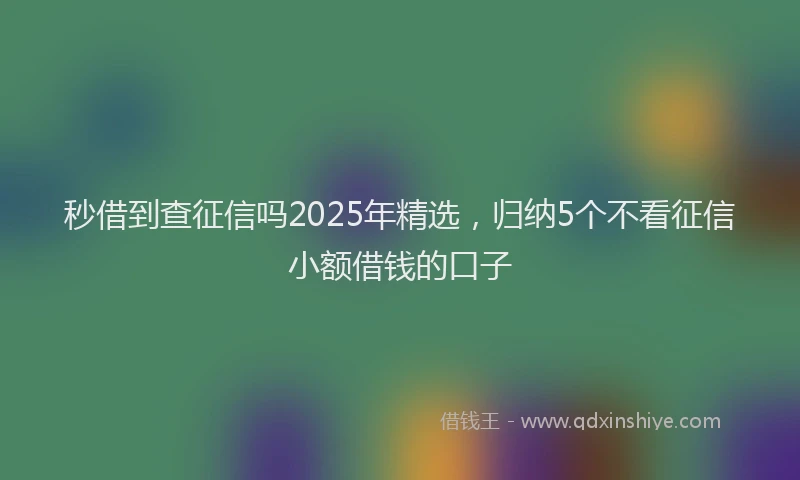 秒借到查征信吗2025年精选，归纳5个不看征信小额借钱的口子