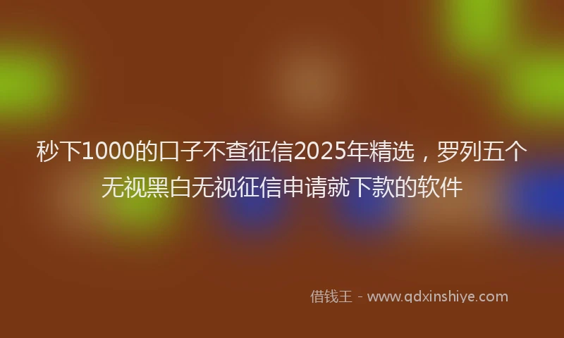 秒下1000的口子不查征信2025年精选，罗列五个无视黑白无视征信申请就下款的软件