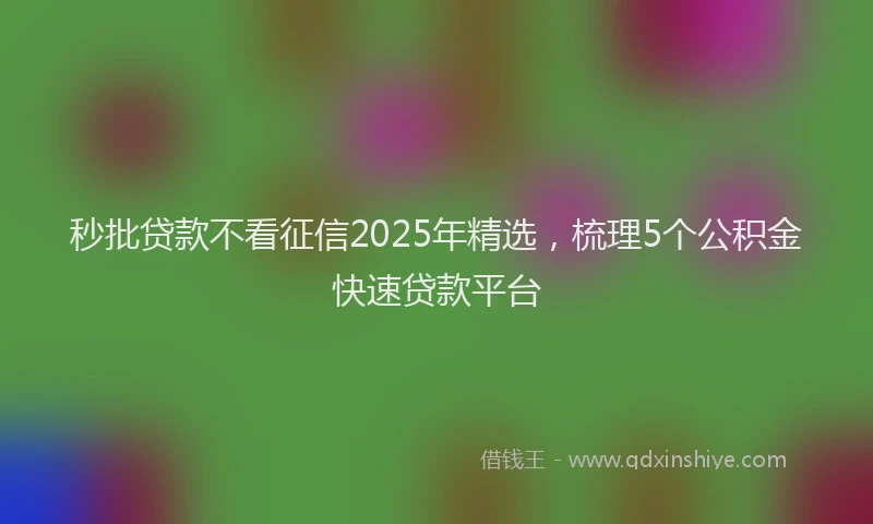 秒批贷款不看征信2025年精选，梳理5个公积金快速贷款平台