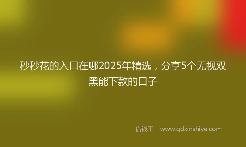 秒秒花的入口在哪2025年精选，分享5个无视双黑能下款的口子
