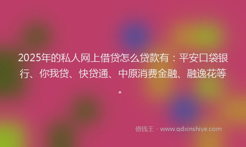 2025年的私人网上借贷怎么贷款有：平安口袋银行、你我贷、快贷通、中原消费金融、融逸花等。