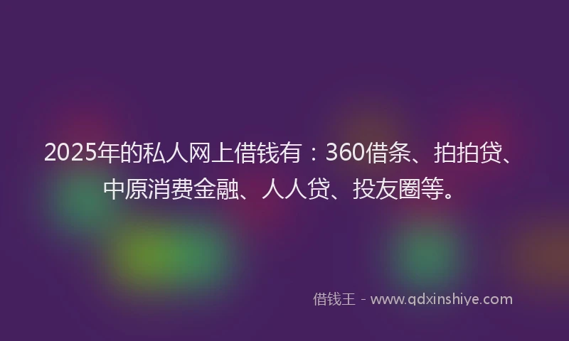 2025年的私人网上借钱有：360借条、拍拍贷、中原消费金融、人人贷、投友圈等。