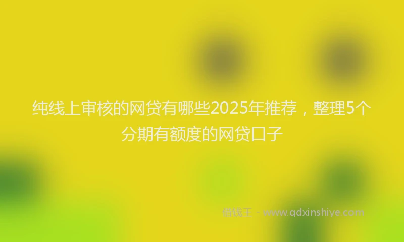 纯线上审核的网贷有哪些2025年推荐，整理5个分期有额度的网贷口子