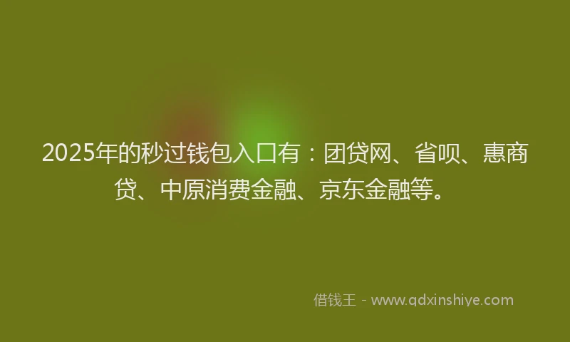 2025年的秒过钱包入口有：团贷网、省呗、惠商贷、中原消费金融、京东金融等。