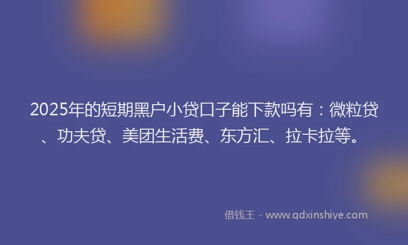 2025年的短期黑户小贷口子能下款吗有：微粒贷、功夫贷、美团生活费、东方汇、拉卡拉等。