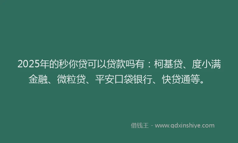 2025年的秒你贷可以贷款吗有：柯基贷、度小满金融、微粒贷、平安口袋银行、快贷通等。