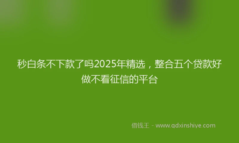 秒白条不下款了吗2025年精选，整合五个贷款好做不看征信的平台