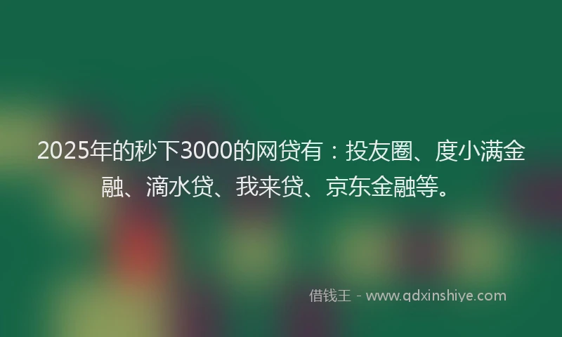 2025年的秒下3000的网贷有：投友圈、度小满金融、滴水贷、我来贷、京东金融等。