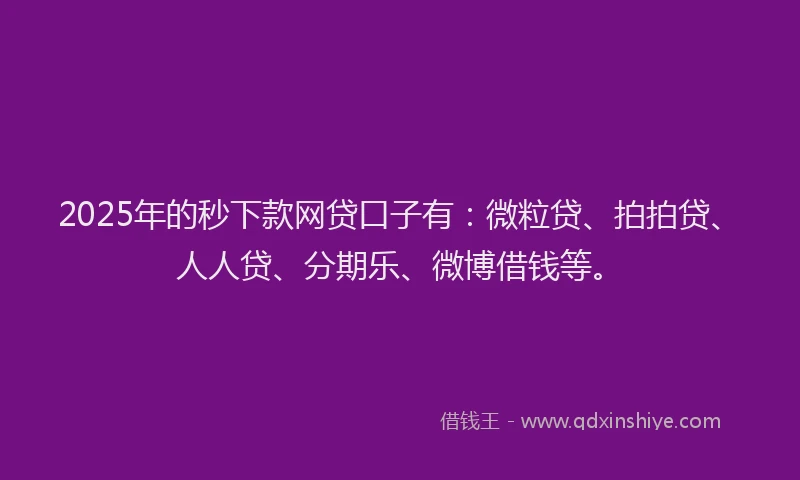 2025年的秒下款网贷口子有：微粒贷、拍拍贷、人人贷、分期乐、微博借钱等。